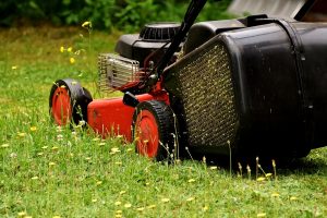 Push Lawnmower with red and black body. This mower is popular with many lawncare and landscaping companies.