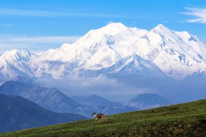 Alaska Workers Compensation Insurance Rates are high because of the remoteness of the state recognized in this photo of Mount McKinley. 