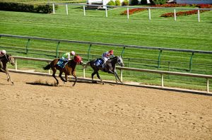 Louisville, Kentucky is a hotbed for horse racing